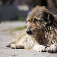 � ������� ��������� ������ ������ ���������, ������� ����� ������