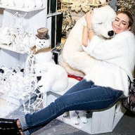 ���� �������� ����������, ��� ������ ��� ��� 2015 ���