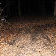 � ����������� ���� ������ ������ ���������� � ������� � ����