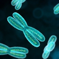 ������ ���������, ����� �� ����� ������ ��� �������