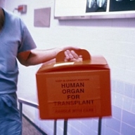 Многие украинцы из-за несовершенства закона могут стать инвалидами Многие украинцы из-за несовершенства закона могут стать инвалидами