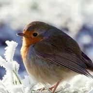 �������� ��������� ���������� ���������� �������� ������