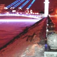 �� ������ �������� ������ ������