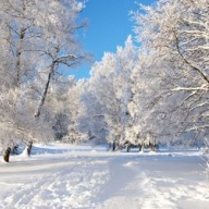 � ���� �������� ������� ����� ����������� �� ������������ ����������, � ����� - ��� ��������� - 