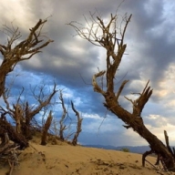 Названо самое жаркое место в мире Названо самое жаркое место в мире