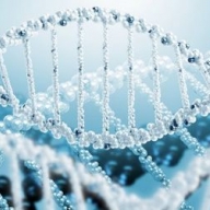 За счастье нации отвечают гены - ученые За счастье нации отвечают гены - ученые