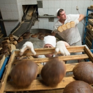 ������� ������: �������� ����������� � ����������� ������� ���� � ���� ��� �����