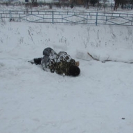 � ���������� ������� �� ����� ����� ���������� ���������