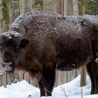 � ��������� ������� ������� 10 ������������� ������ - ����������� ��� ���