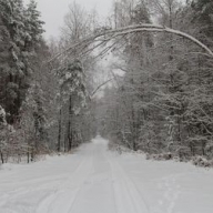 �������� ������ ���������� � ���������� �������: 