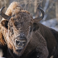 � ��������� ������� �� ����� ������� ��� ���� ������� ������