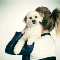 � ����������� ������ 20-������ �������, ������� ����� � ���� � �������� 