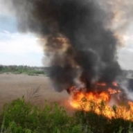 Оперативні мобільні групи розшукуватимуть паліїв сухостою Оперативні мобільні групи розшукуватимуть паліїв сухостою