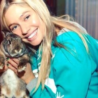 ������� ������� ������ ����������� � �������� ������ (����) 