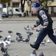 В течение получаса полицейские Мариуполя разыскали маленького беглеца В течение получаса полицейские Мариуполя разыскали маленького беглеца