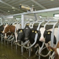 �� ��������� ������� ���������� �� ������ ����������