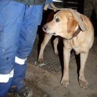 ������ �� ���������� � ������� ���� ��������� ��� �� ����� �� ������ � ������