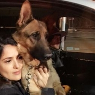 ����������� ����� ������ ������ �����