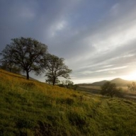 ������ � ������� �� +15, �� ���-��� ������� ����� 