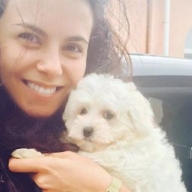 ����� ��������� ����������� ����� (����)