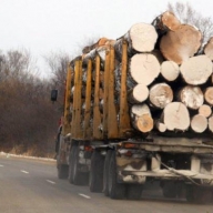 Лісовози підприємства Лісовози підприємства