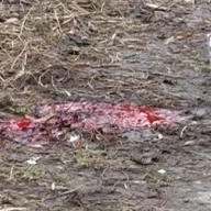 � ����� ����� ������ ��� ����������� ������� 