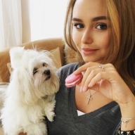 ���� ������� �������� � �������� ������-��������� ������������ ������� �� ������ (����)