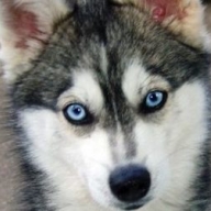 � ������ ������ ��� ������ �������������� �����: �� �������� ��� ������������� ����� 