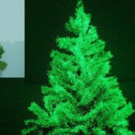 ������ �������� ��������� ���� � �����������