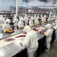 ������� ������ �� ����� ��� ������ ��������� � �� ��������, ���, �����: ��� �������� ����� 