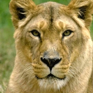 � ����� ���������� ����������� ������