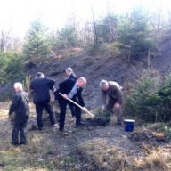 ���������� ����������� �� ������������� ������� ������� ������ ����� �� ������� ���������