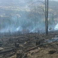 �� ��������� ���������� ��������� ������ �� ������� ��������