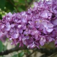 � ����������� ���������� ����� ����� �������� ��������� ����. � 2012 ���� �� �����������