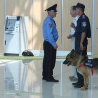 � ����� ������� 