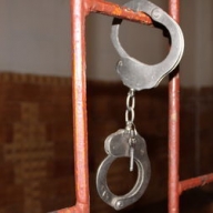 ������ 7-������ ������� ���� ����� �� ������ � ���� �����������