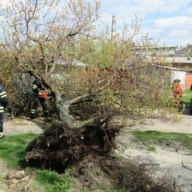 � ��������� ������� �������� � 