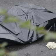 � ���������� ������� ��������� ������������ � ����� �����������