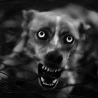 � ��������� ���������� ������ �������� �������