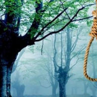 � ����������� ����������� ��������� 23-������ ������