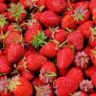 � ������ ��������� �������� �� �������