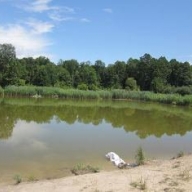 У Золочівському районі на місцевому озері потонув чоловік У Золочівському районі на місцевому озері потонув чоловік