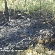 � ��������� ������� ��������� ��������� � ������ � ��������