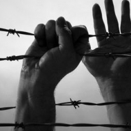 Под Харьковом сбежал осужденный Под Харьковом сбежал осужденный