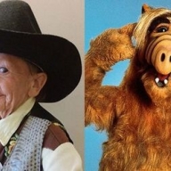 ���� �����, ��������� �����