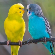 � ������ � ������������ ��������� ������ �� ������ ���� � ������� � ����