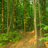 � ������������� ������ ������� ����, ��� ��������� � ��