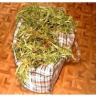 ������� ��������� �� ������ 17-������� ������������ � ����� ������� �������