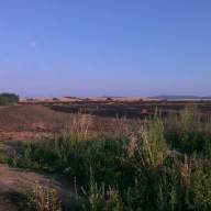 У Самбірівському районі загорілися посіви пшениці У Самбірівському районі загорілися посіви пшениці