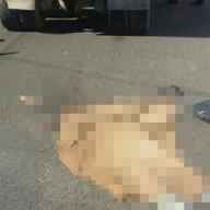 � ������ �������� �������� �������� ���� �������